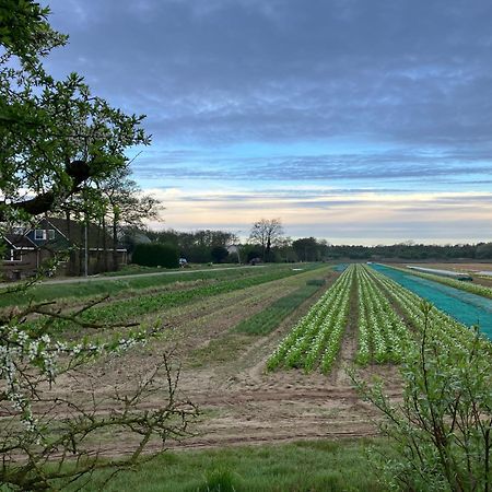 Lowlander Bnb Heemskerk Exteriér fotografie