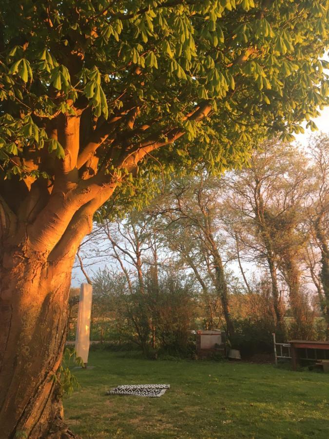 Lowlander Bnb Heemskerk Exteriér fotografie