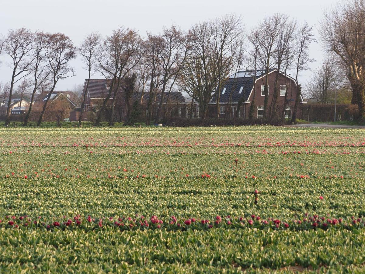 Lowlander Bnb Heemskerk Exteriér fotografie