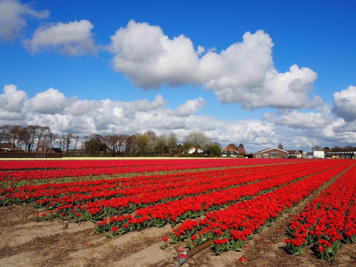 Lowlander Bnb Heemskerk Exteriér fotografie