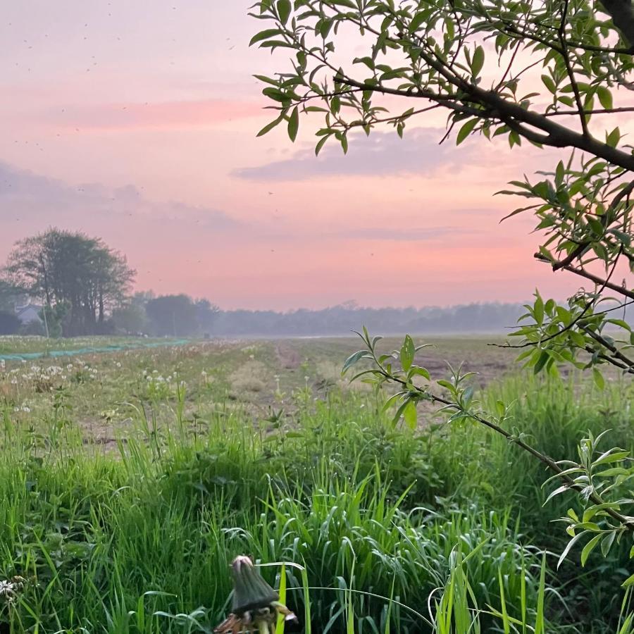 Lowlander Bnb Heemskerk Exteriér fotografie