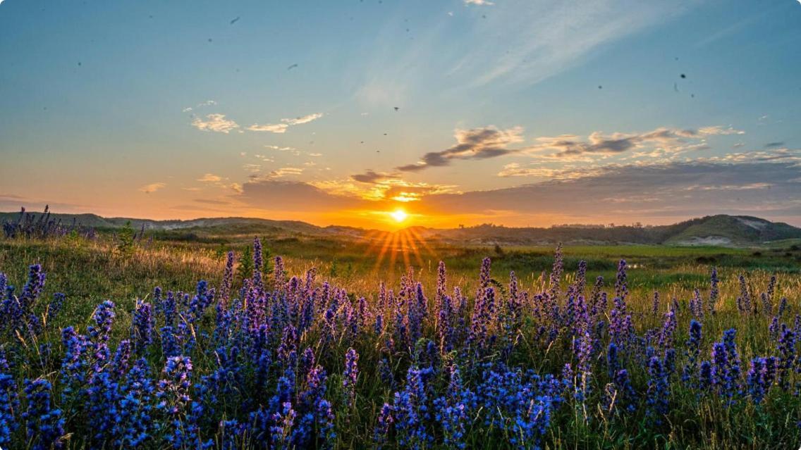 Lowlander Bnb Heemskerk Exteriér fotografie